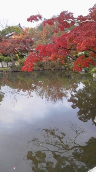 秋の京都